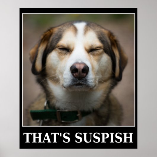 Funny Suspish Dog Meme Poster (Voorkant)