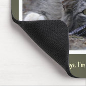 Funny Tabby Cat gaat die Muismat halen (Hoek)