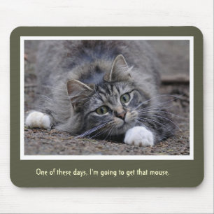 Funny Tabby Cat gaat die Muismat halen