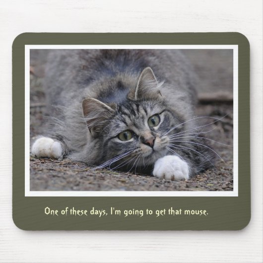 Funny Tabby Cat gaat die Muismat halen (Voorkant)