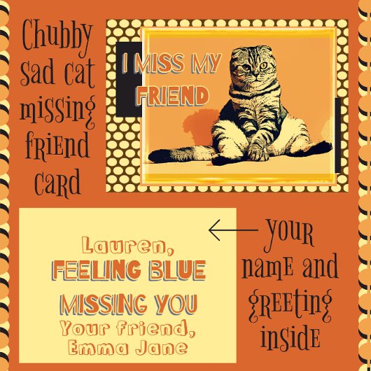 Funny Tabby Fat Cat I Miss Mijn Wenskaart