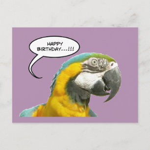 Funny Talking Parrot Birthday Briefkaart