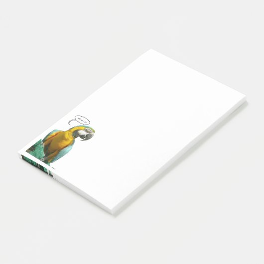 Funny Talking Parrot Notes (Schuin)
