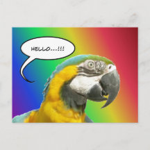 Funny Talking Parrot Rainbow Hallo Briefkaart