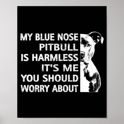 Funny Tbull Quote Blue Nose Tbull Design Cool Dog Poster (Voorkant)