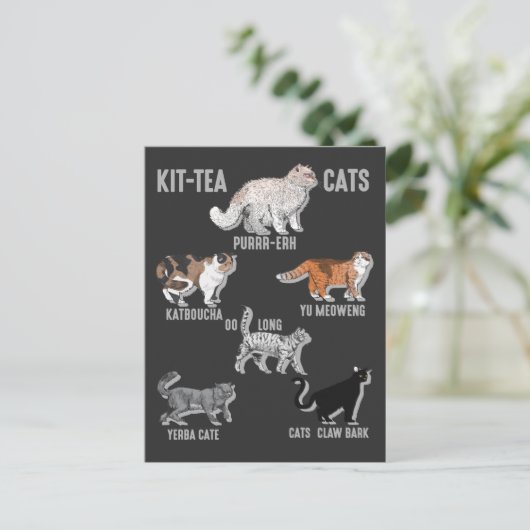 Funny Tea Drinker Cat Humor Kitten Love Briefkaart (Staand voorkant)