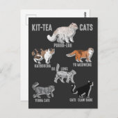 Funny Tea Drinker Cat Humor Kitten Love Briefkaart (Voorkant / Achterkant)