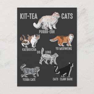 Funny Tea Drinker Cat Humor Kitten Love Briefkaart