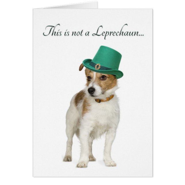 Funny Terrier Leprechaun Card (Voorkant)