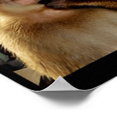 Funny Thinking Monkey Meme Curious Ape Brainrot Gi Poster (Hoek)