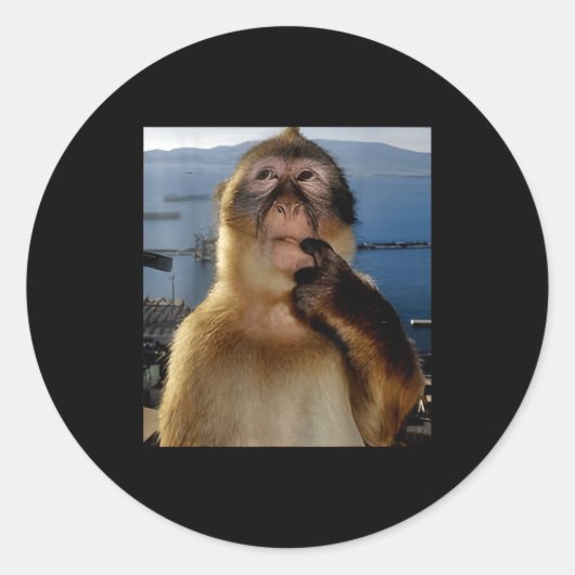 Funny Thinking Monkey Meme Curious Ape Brainrot Gi Ronde Sticker (Voorkant)