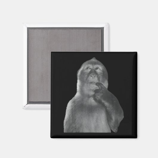 Funny Thinking Monkey Meme Curious Ape Brainrot  Magneet (Voorkant / Achterkant)