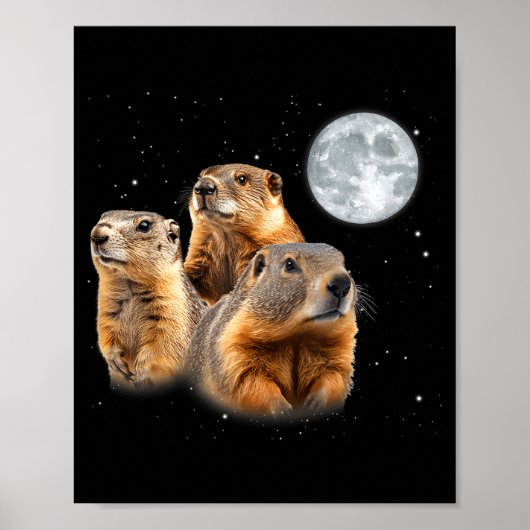 Funny Three Groundhog Moon Groundhog Day Poster (Voorkant)