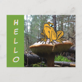 Funny Toad Cartoon over Toadstool HALLO Briefkaart