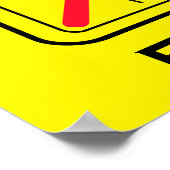 Funny Toilet Instructions Poster (Hoek)