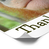 Funny Tooth Gratitude - speciaal verzoek Poster (Hoek)