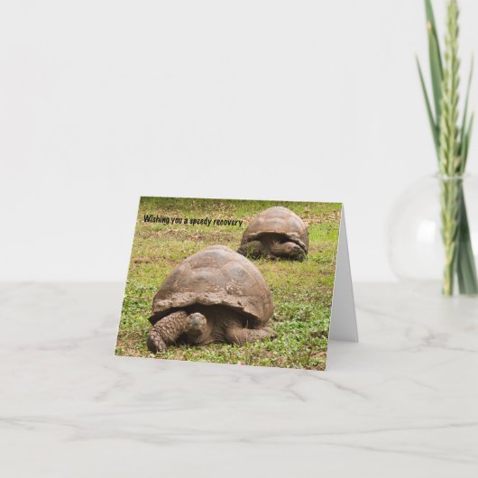 Funny Tortoise Get Well Card Bedankkaart (Voorkant)