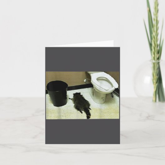 Funny Trashed Panda Drunk Racoon  Kaart (Voorkant)