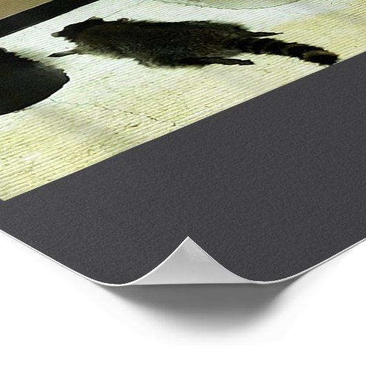 Funny Trashed Panda Drunk Racoon  Poster (Hoek)