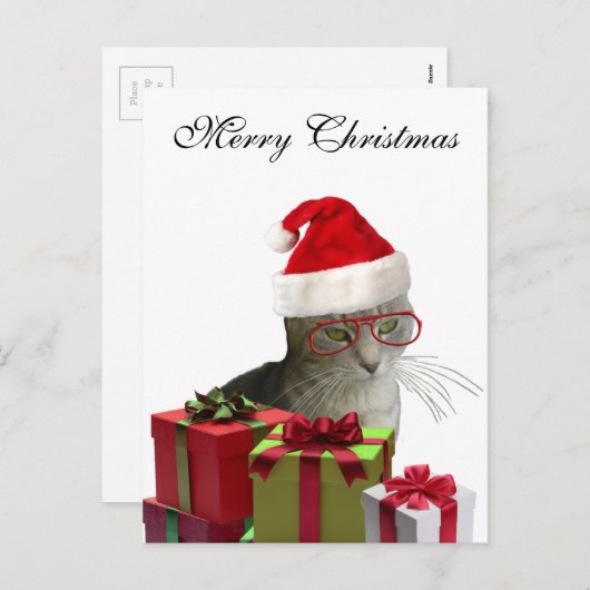 Funny trendy Santa wise-kerstkat Feestdagenkaart (Voorkant / Achterkant)