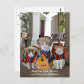 Funny Tres Gatos Spaans Teaching Aid Briefkaart (Voorkant / Achterkant)