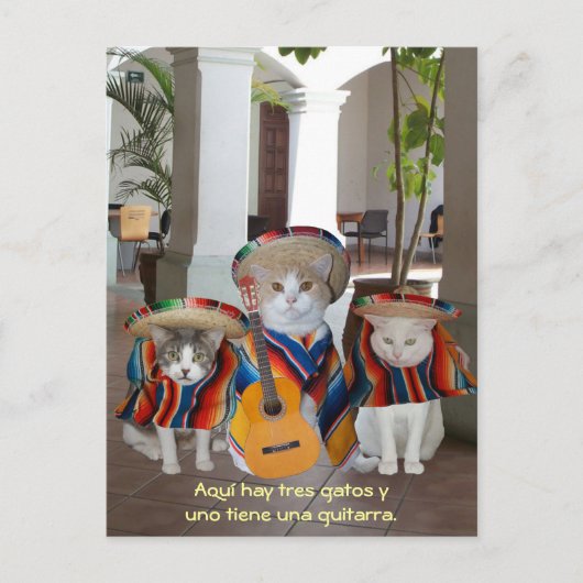 Funny Tres Gatos Spaans Teaching Aid Briefkaart (Voorkant)