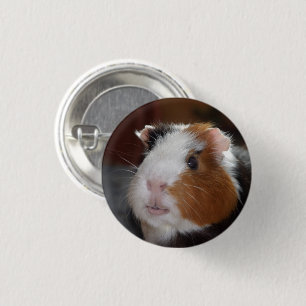 Funny, Tricolor, Smooth Guinee Varkenshaar Ronde Button 3,2 Cm