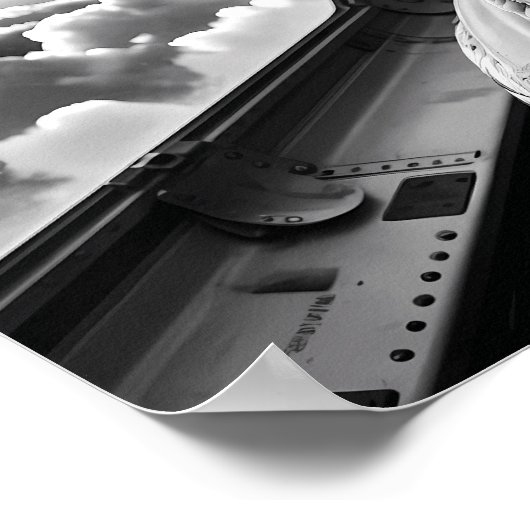 Funny Turkey Selfie Black & White Poster (Hoek)