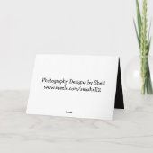 Funny Turtle Birthday Kaart (Achterkant)