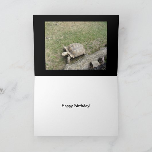 Funny Turtle Birthday Kaart (Binnen)