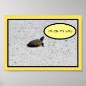 Funny Turtle Foto Poster (Voorkant)