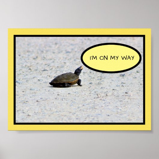 Funny Turtle Foto Poster (Voorkant)