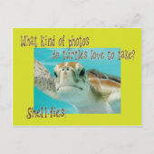 Funny turtle riddle voor kinderen briefkaart (Voorkant)
