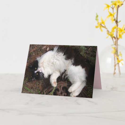 Funny Tuxedo Cat Happy Birthday Greetings Card Kaart (Gele Bloem)