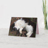 Funny Tuxedo Cat Happy Birthday Greetings Card Kaart (Voorkant)
