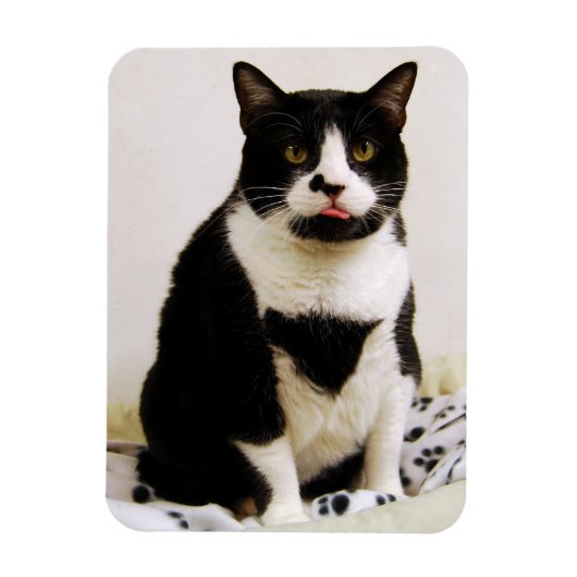 Funny Tuxedo Cat Magnet Magneet (Verticaal)