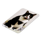Funny Tuxedo Cat Magnet Magneet (Linkerzijde)