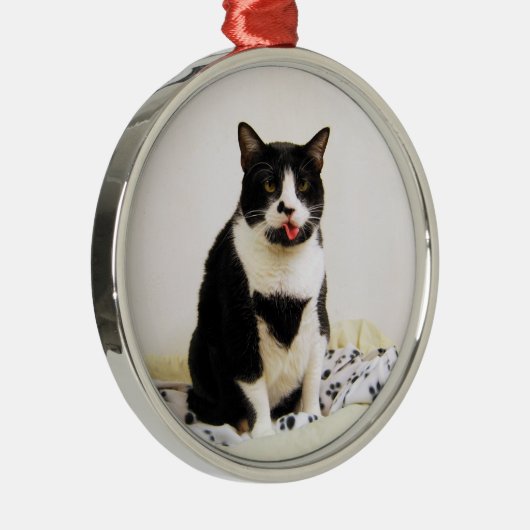 Funny Tuxedo Cat Ornament (Rechts)
