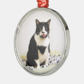 Funny Tuxedo Cat Ornament (Links)