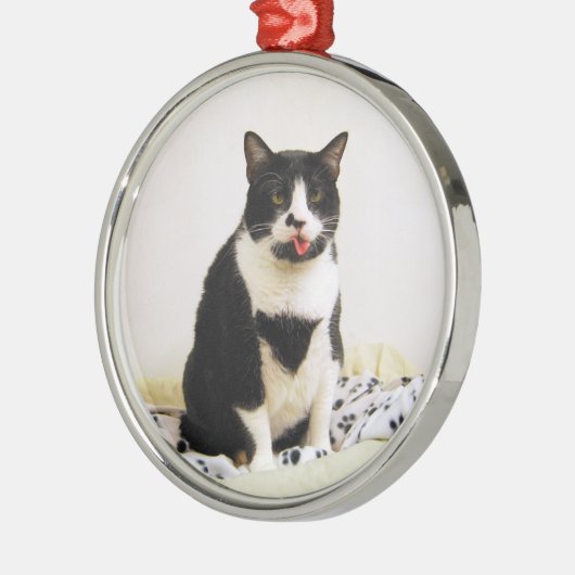 Funny Tuxedo Cat Ornament (Links)