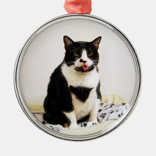 Funny Tuxedo Cat Ornament (Voorkant)