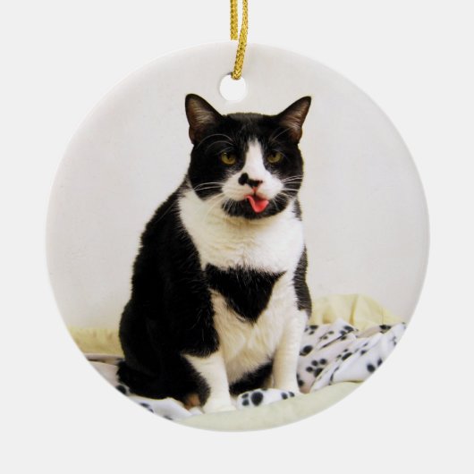 Funny Tuxedo Cat Ornament (Voorkant)