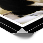 Funny Tuxedo Cat Poster (Hoek)