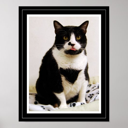 Funny Tuxedo Cat Poster (Voorkant)