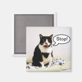 Funny Tuxedo Cat "Stop!" Magnet (Voorkant / Achterkant)