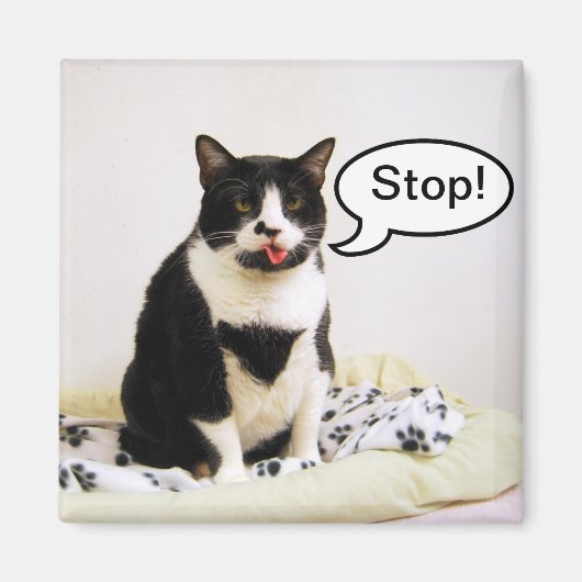 Funny Tuxedo Cat "Stop!" Magnet (Voorkant)