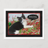 Funny Tuxedo Kat Kerst Briefkaart (Voorkant)