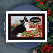 Funny Tuxedo Kat Kerst Briefkaart