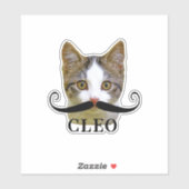 Funny Upload Cat Face Foto & Name van Mustache Sticker (Vel)