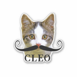 Funny Upload Cat Face Foto & Name van Mustache Sticker